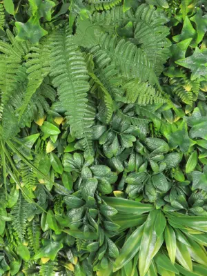 Jungle Wand - 50x50cm