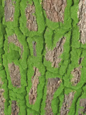 Flexibele en stevige nep boomschors mat voor decoratie en wandbekleding