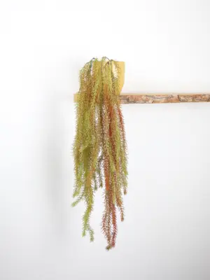 Bruingroene kunstmos hangplant 90cm – warme tinten voor een sfeervolle en rustieke look.