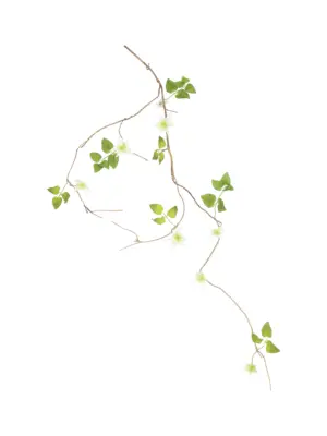 Witte Kunstliaan Clematis 150cm met levensechte bloemen en groene bladeren.