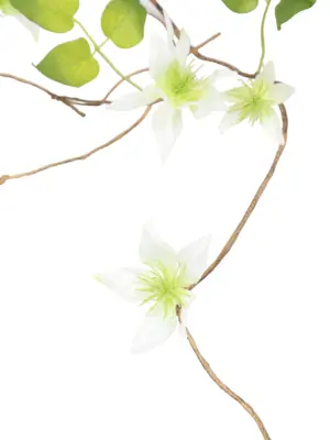 Witte Kunstliaan Clematis 150cm met levensechte bloemen en groene bladeren.