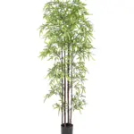 Bamboe Kunstplant Zwart 170cm – Luxe, onderhoudsvrije kunstbamboe