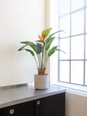 Onderhoudsvrije Kunst Strelitzia 100cm met een exotische bloem en stevige kokosvezelstammen.