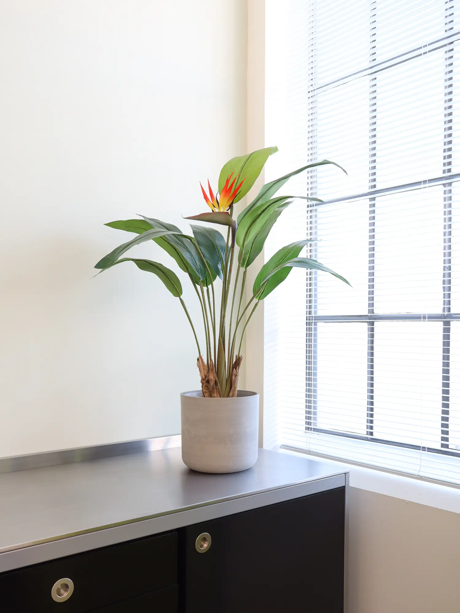 Onderhoudsvrije Kunst Strelitzia 100cm met een exotische bloem en stevige kokosvezelstammen.