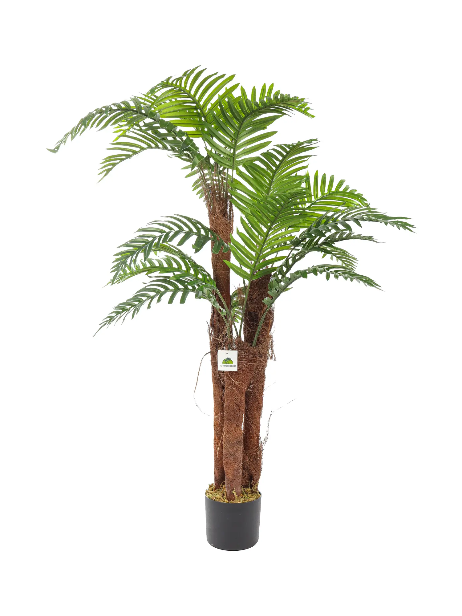 Kunst Kokospalm Bermuda 120cm, realistische kunstpalm met drie kokosstammen.