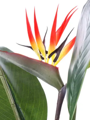 Levensechte Kunst Strelitzia plant in een stevige pot