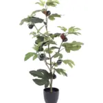 Kunst Vijgenboom 90cm met realistische bladeren en vijgen, perfect voor binnen.