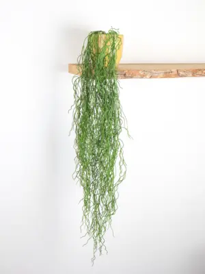 Kunst Zeewier Groen 110cm – flexibele en speelse kunstplant met een volle bos van vertakte takken.