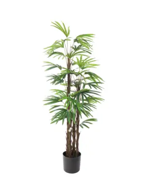 Kunstpalm Raphis 150cm met brede, handvormige palmbladeren
