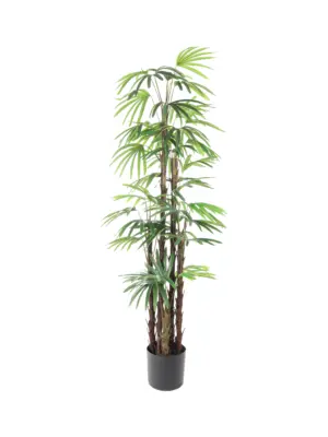 Grote kunstpalm Raphis 165cm met 6 natuurgetrouwe stammen.