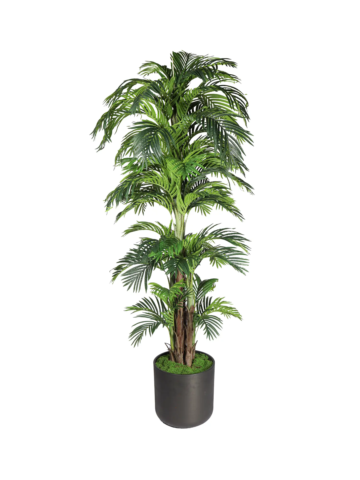 Hoge kunstpalm Areca voor showrooms, restaurants en wellnessruimtes