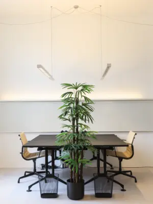 Kunstpalm Raphis 165cm kantoorfoto van Kunstpalm.nl