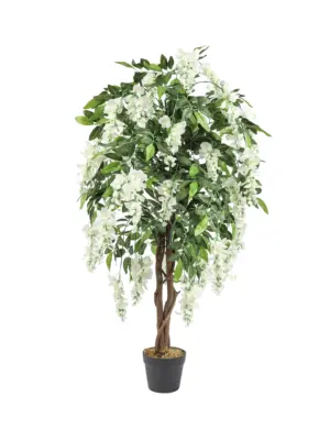 Compacte Witte Kiruna Bloemboom van 120cm