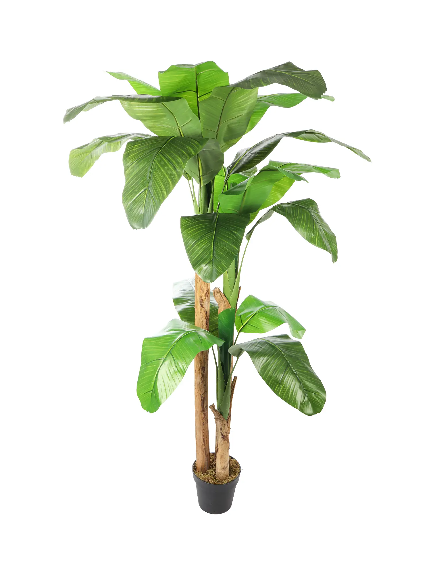 Tropische Kunstbanaanplant Jamaica 180cm met realistische dikke bladeren.
