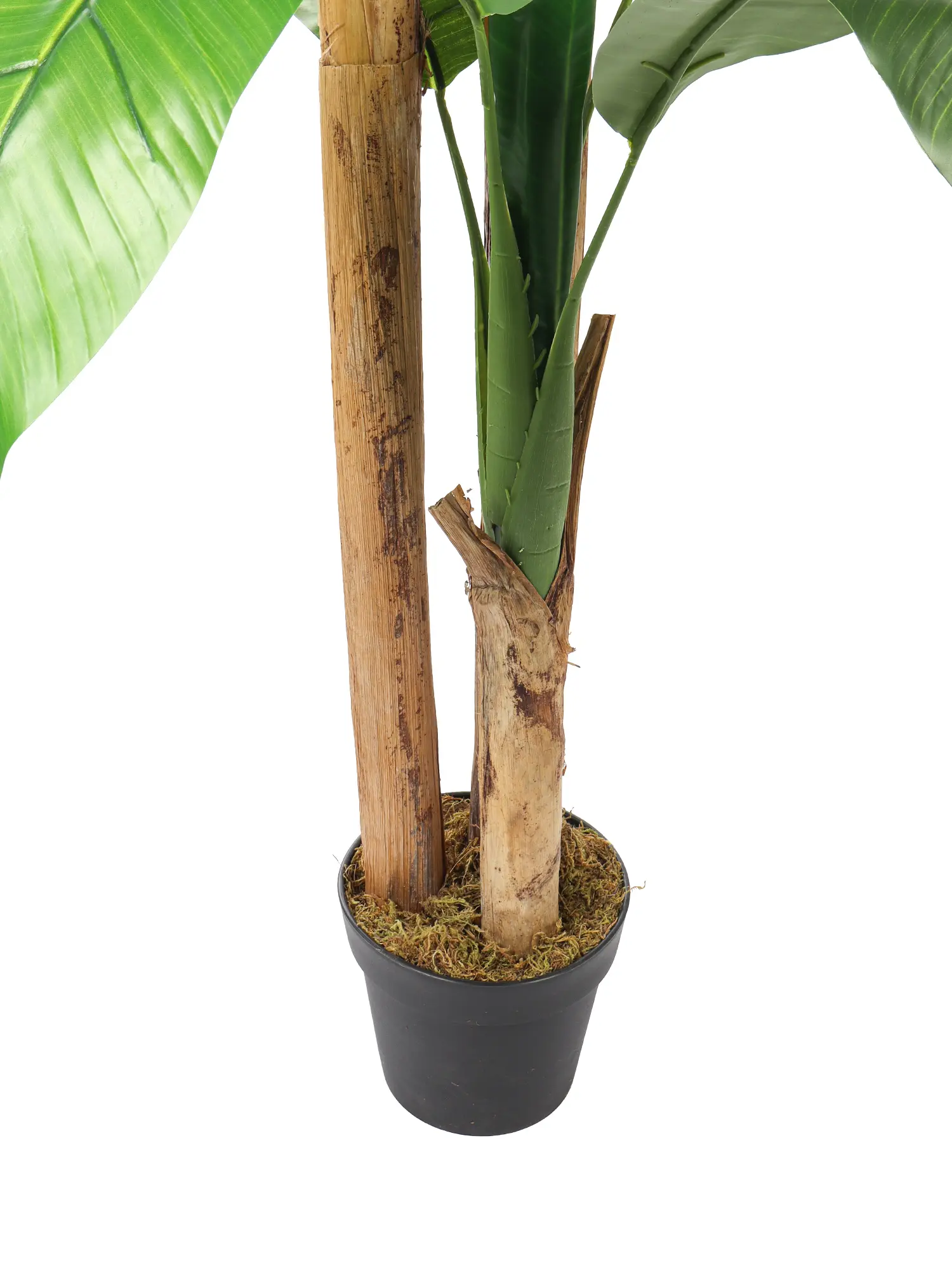 Stevige nepbananenboom Jamaica 180cm met natuurgetrouwe bladeren en stam.