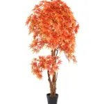Kunst Esdoorn Osakazuki 175cm met heldere oranje-rode bladeren