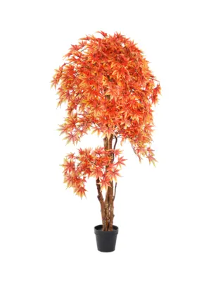 Kunst Esdoorn Osakazuki 175cm met heldere oranje-rode bladeren