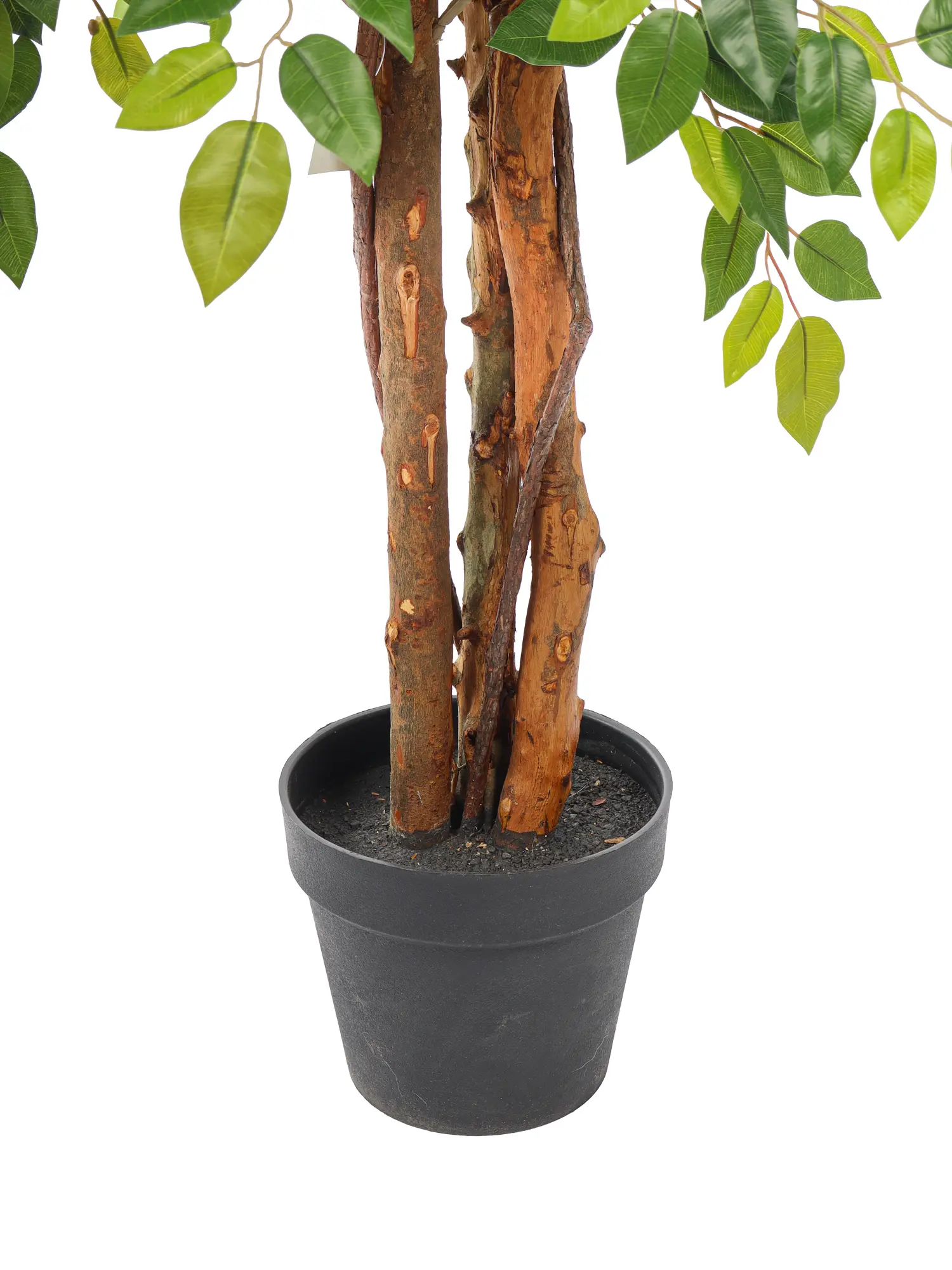 Kunst Ficus Deluxe 175cm met natuurlijke lianen en zachte groene bladeren