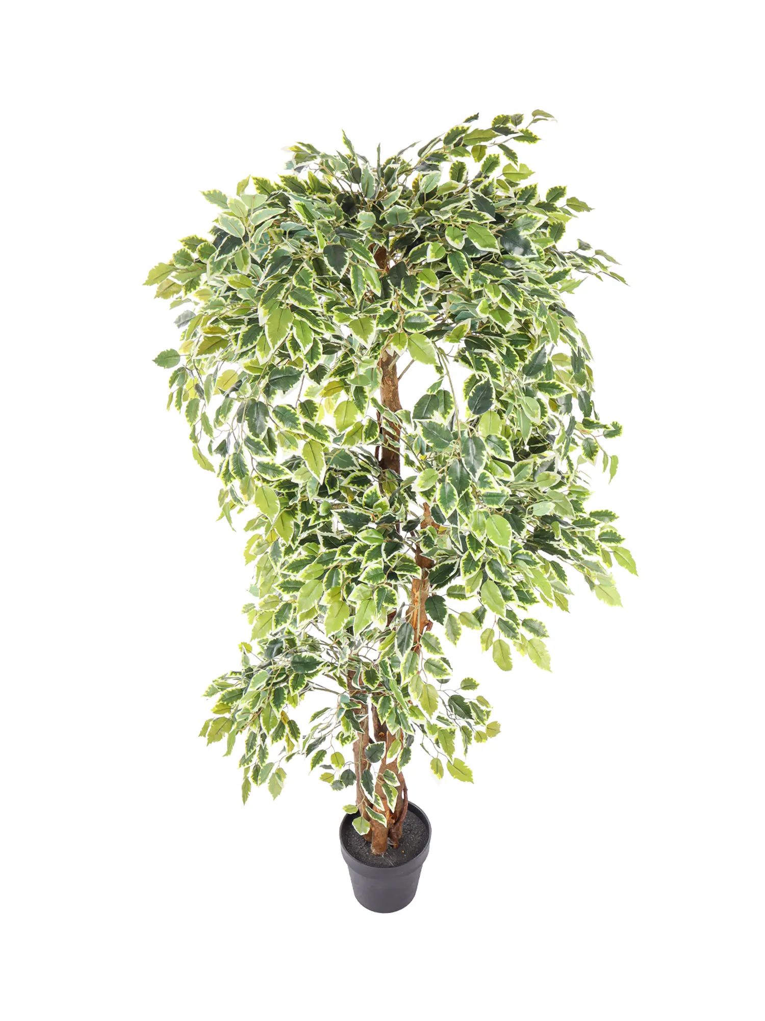 Ficus kunstboom met bont gekleurde bladeren