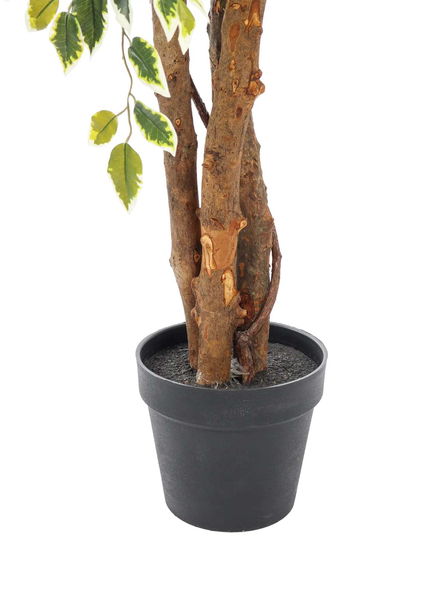 Kunstficus met gelaagde structuur en bonte bladeren