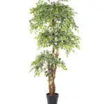 Kunst Ficus Deluxe Bont 175cm met witte bladranden