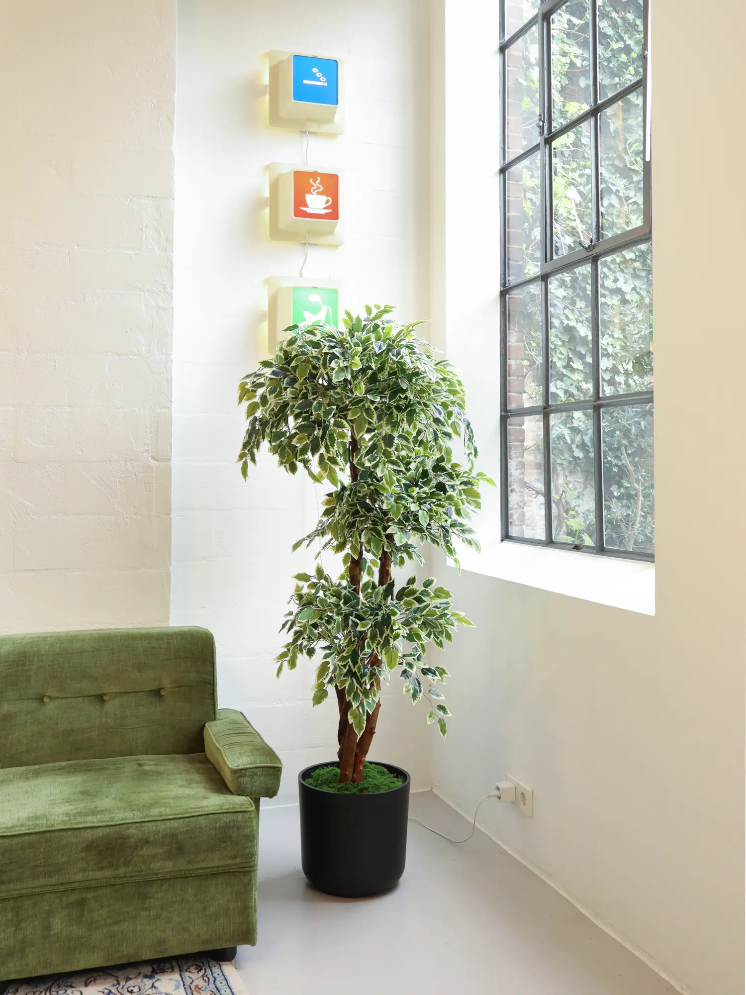 Kunst Ficus Deluxe Bont 175cm van Kunstpalm.nl