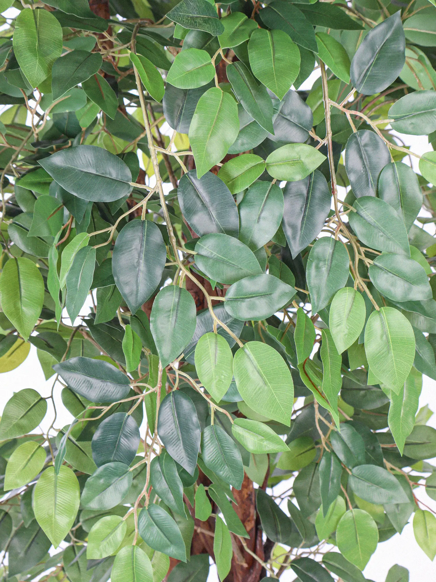 Levensechte kunstficus met kronkelende stammen en lianen