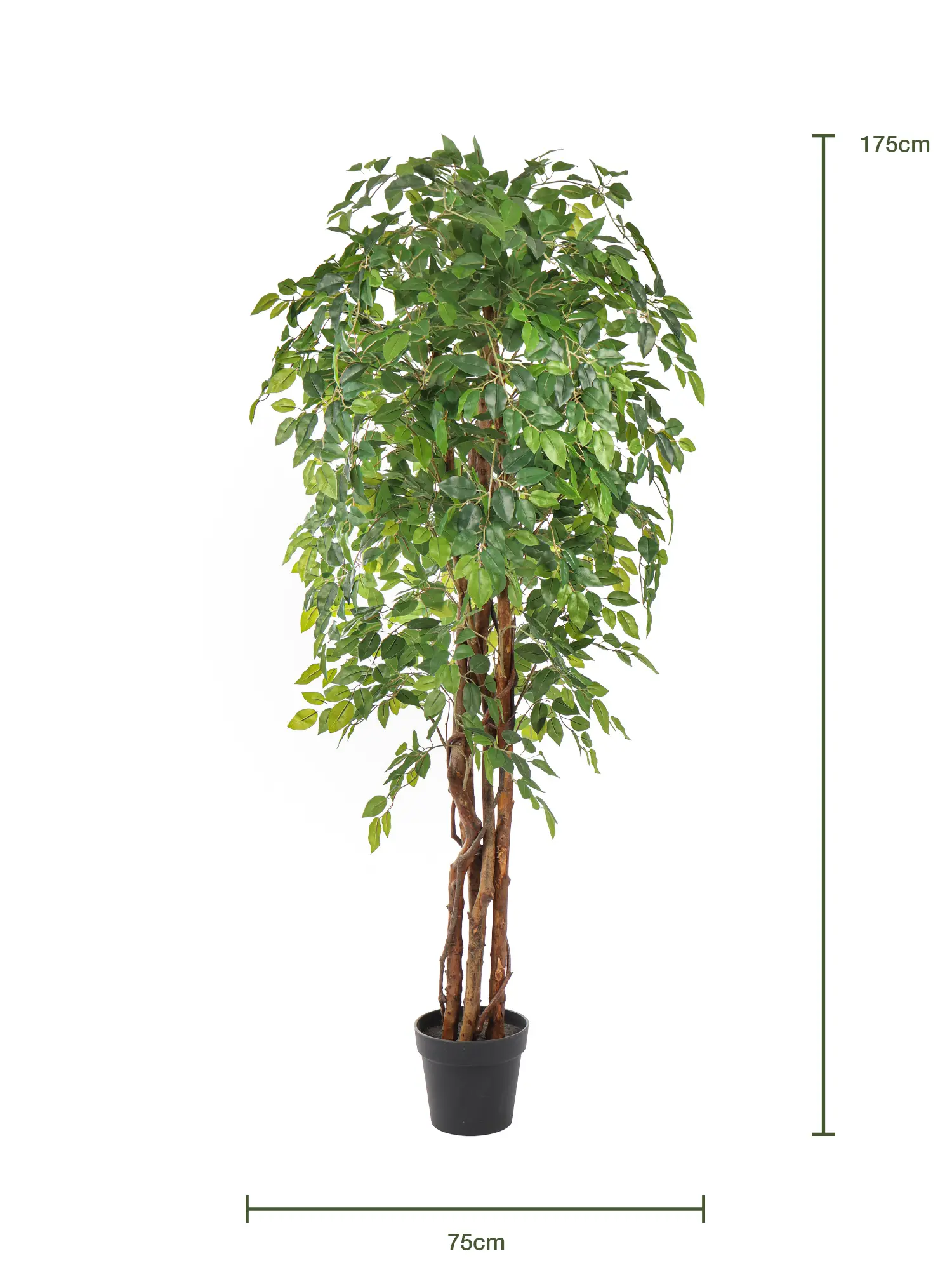 Decoratieve kunstficus Liana met volle groene kruin