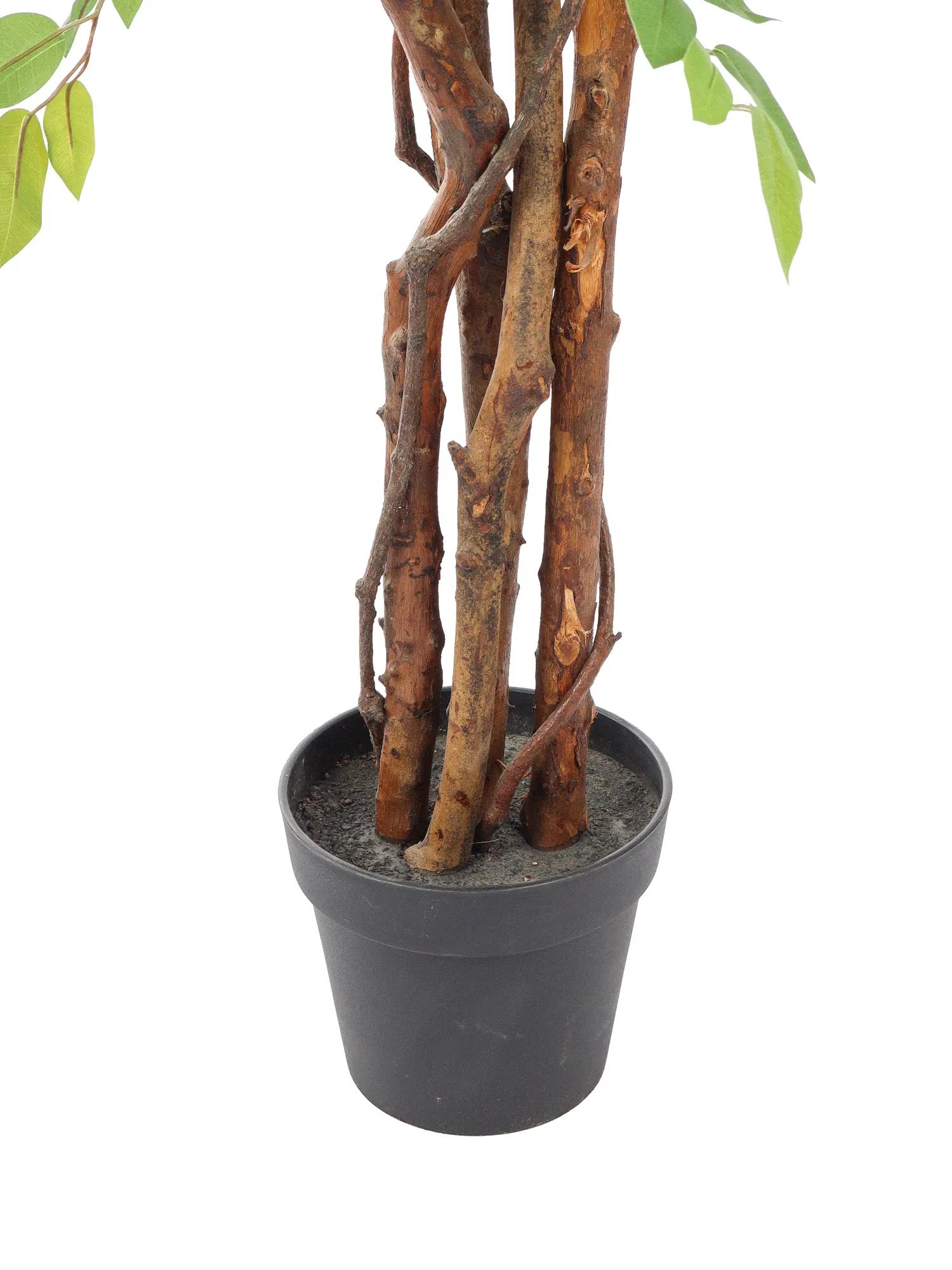 Grote kunstficus met gemengde groene bladeren