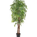 Kunst Ficus Liana 175cm met volle kruin en natuurlijke bladeren