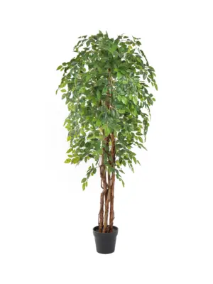 Kunst Ficus Liana 175cm met volle kruin en natuurlijke bladeren