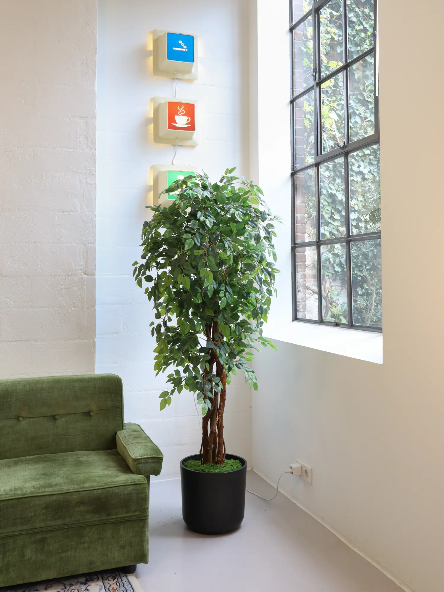 Kunst Ficus Liana 175cm sfeer foto van Kunstpalm.nl