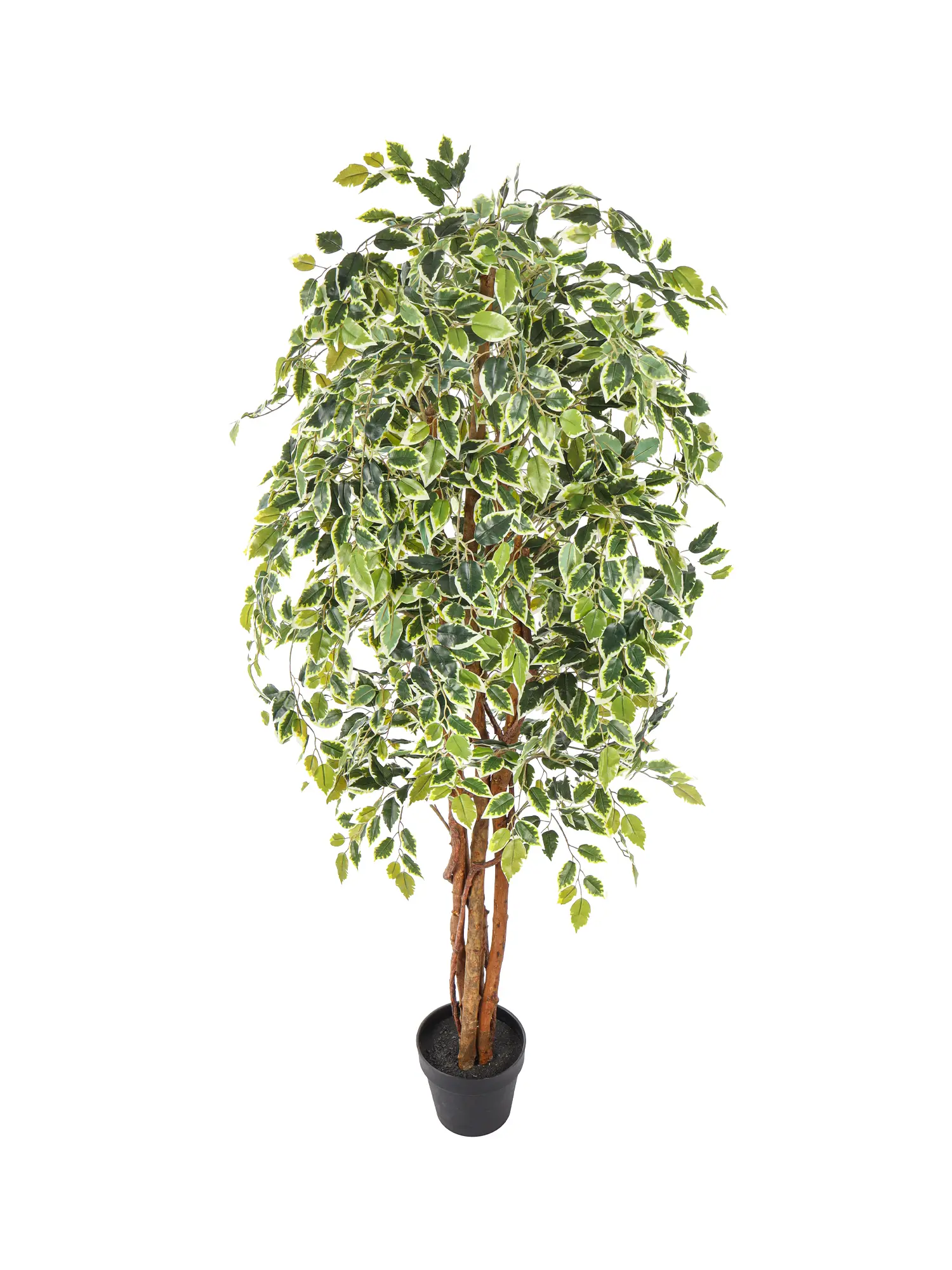 Kunstboom met bonte bladeren in een moderne plantenpot