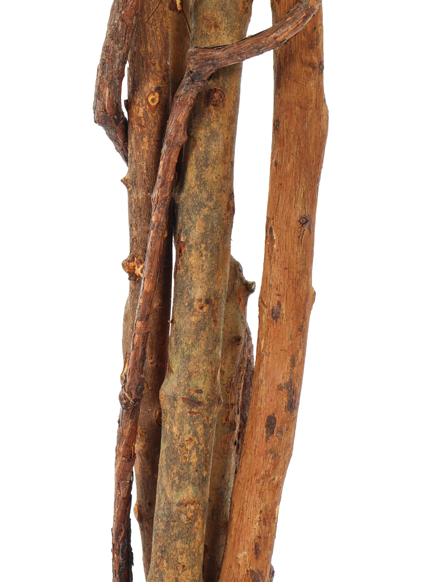 Hoogwaardige kunstficus met witte bladrand en natuurlijk bladpatroon