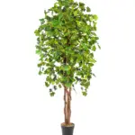 Kunst Ginkoboom groen met volle kruin