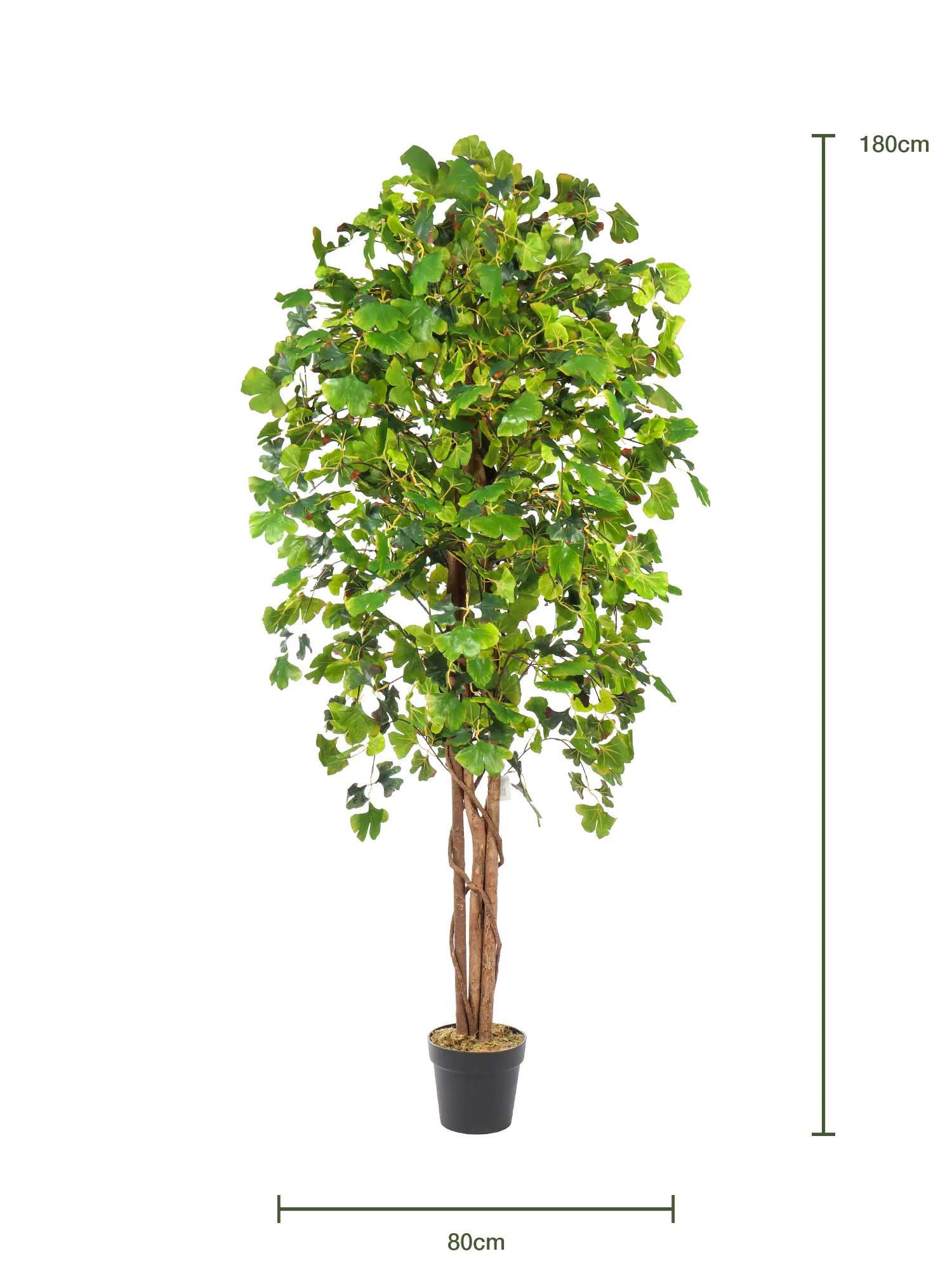 Kunst Ginkoboom groen met volle kruin