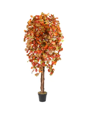 Kunst Ginkgoboom met herfstbladeren in warme kleuren