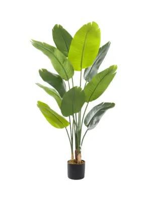 Kunst Strelitzia 145cm met 10 levensechte bladeren
