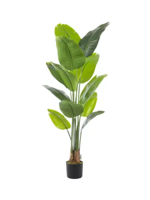 Nepplant Strelitzia 165cm met buigbare stelen en realistische bladstructuur, verkrijgbaar bij Kunstpalm.nl