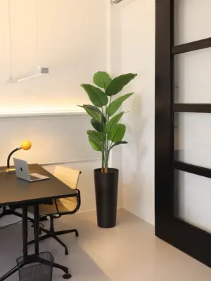 Kunst Strelitzia 165cm sfeerbeeld