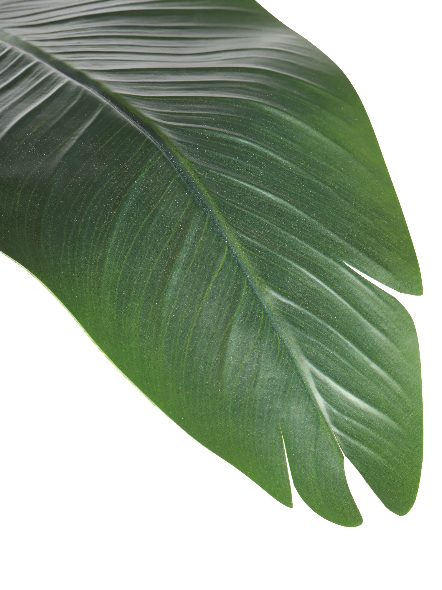 Grote tropische kunstplant 180cm – Strelitzia van Kunstpalm.nl