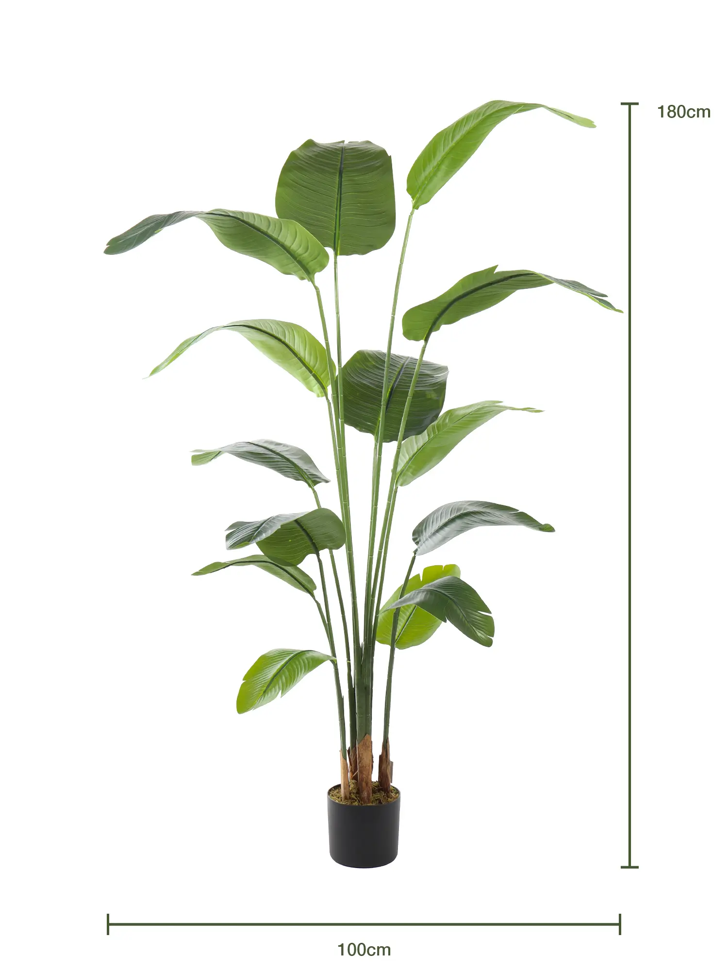 Grote tropische kunstplant 180cm – Strelitzia van Kunstpalm.nl