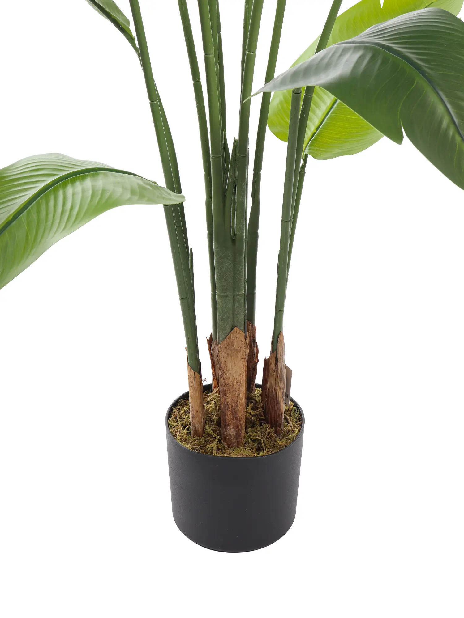 Grote tropische kunstplant 180cm – Strelitzia van Kunstpalm.nl