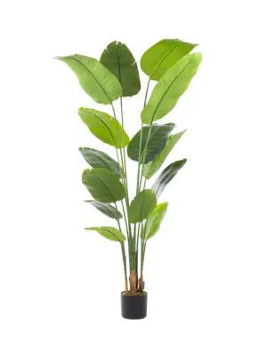 Grote tropische kunstplant 180cm – Strelitzia van Kunstpalm.nl