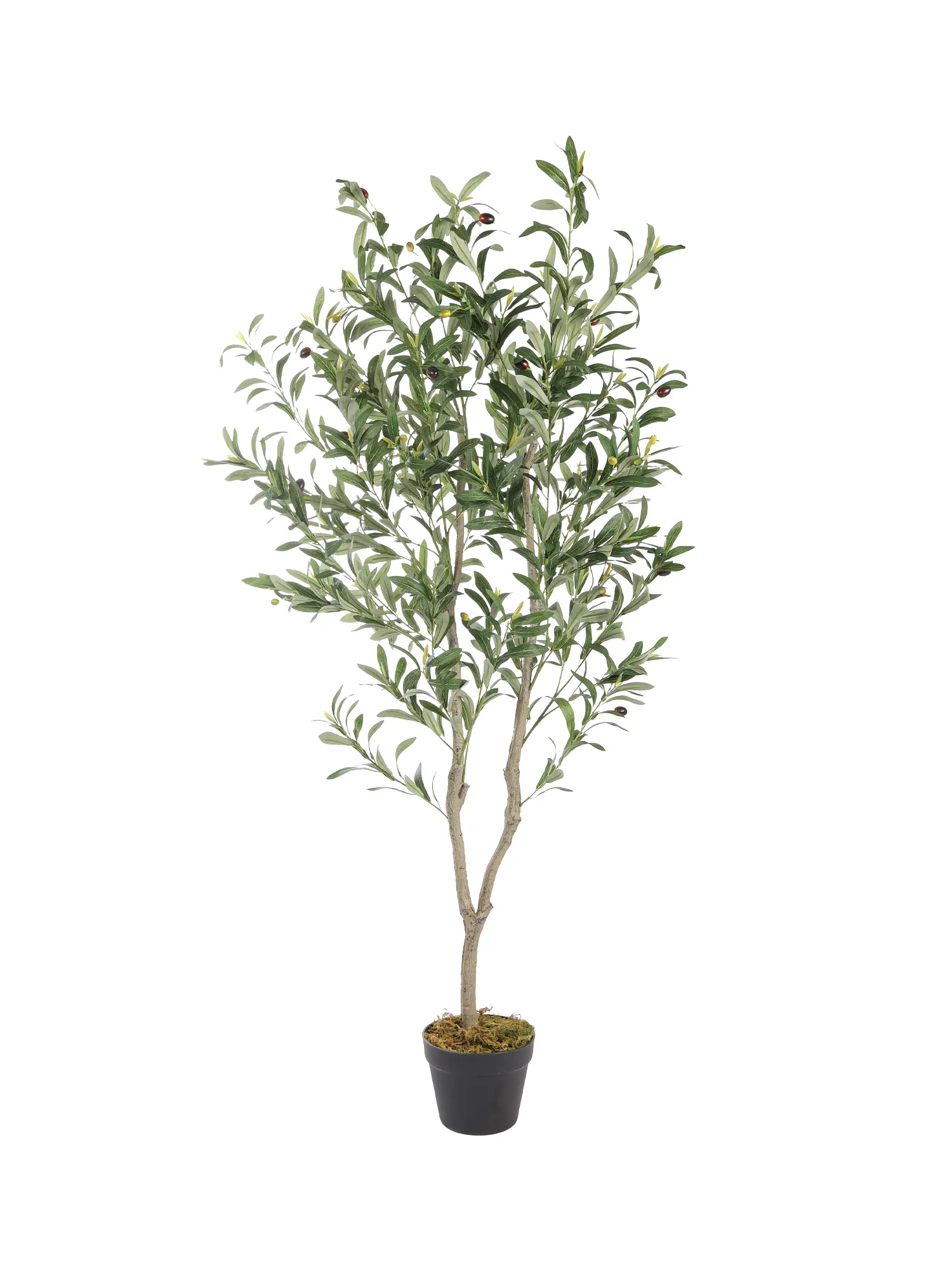 Levensechte Kunstolijfboom Toscane 155cm met realistische olijven