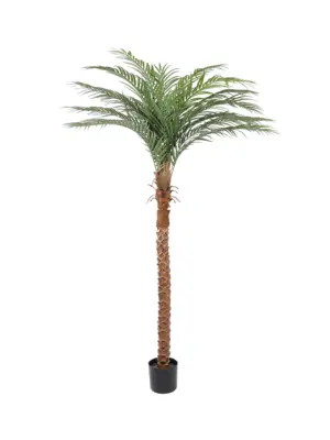 Kunstpalm Cuba 190cm met realistische stam en 15 levensechte palmbladeren.