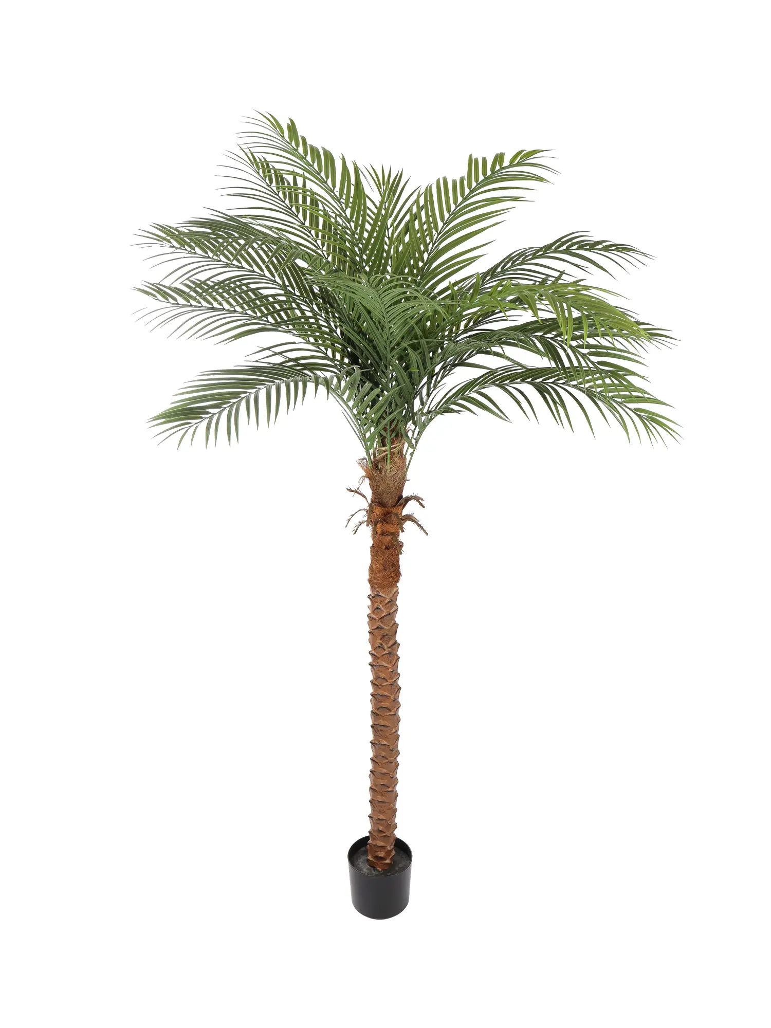 Levensechte Kunstpalm Cuba 190cm met stevige stam en volle palmbladeren.