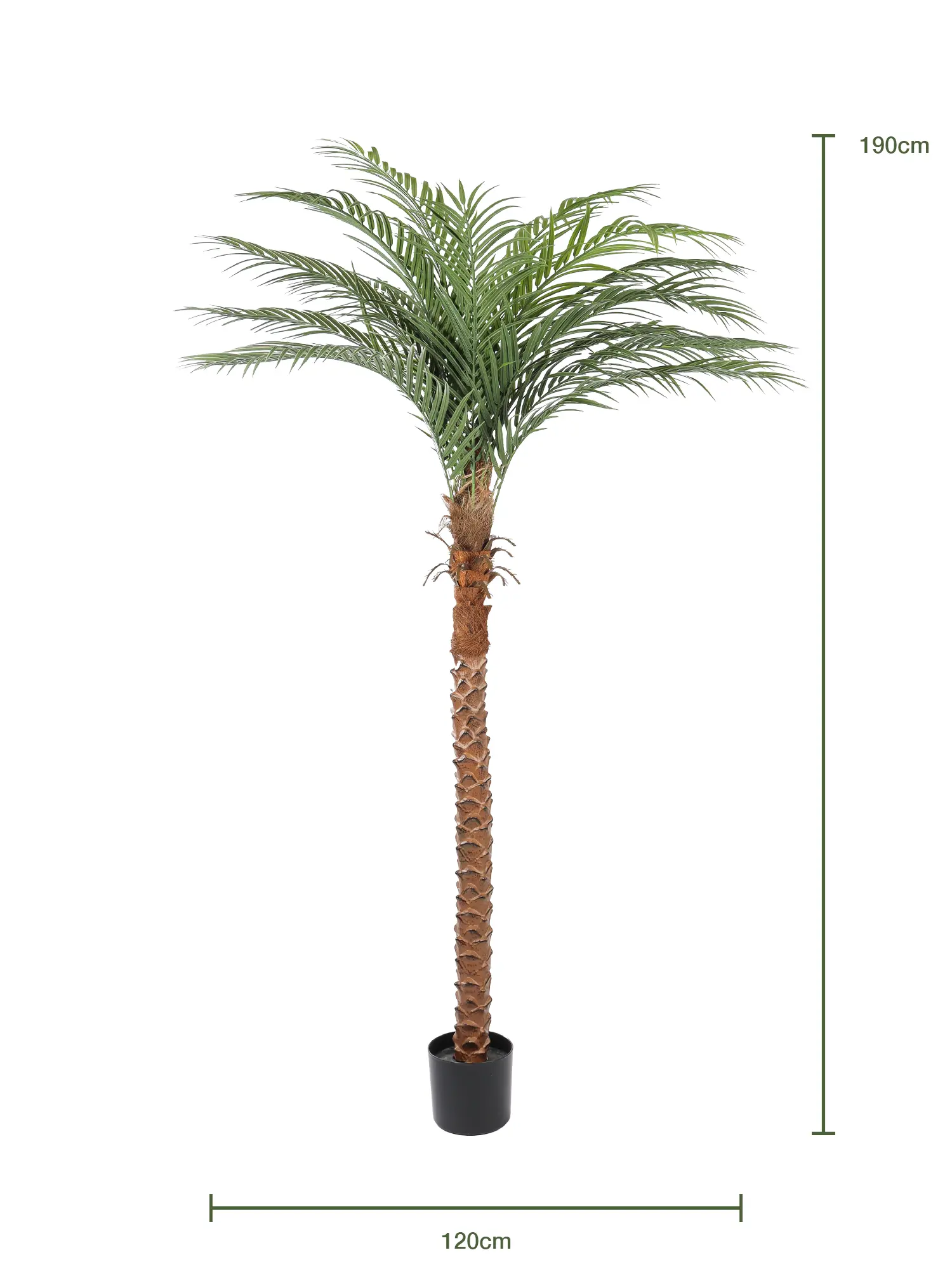 Natuurgetrouwe Kunstpalm Cuba 190cm met dikke stam en volle kruin.