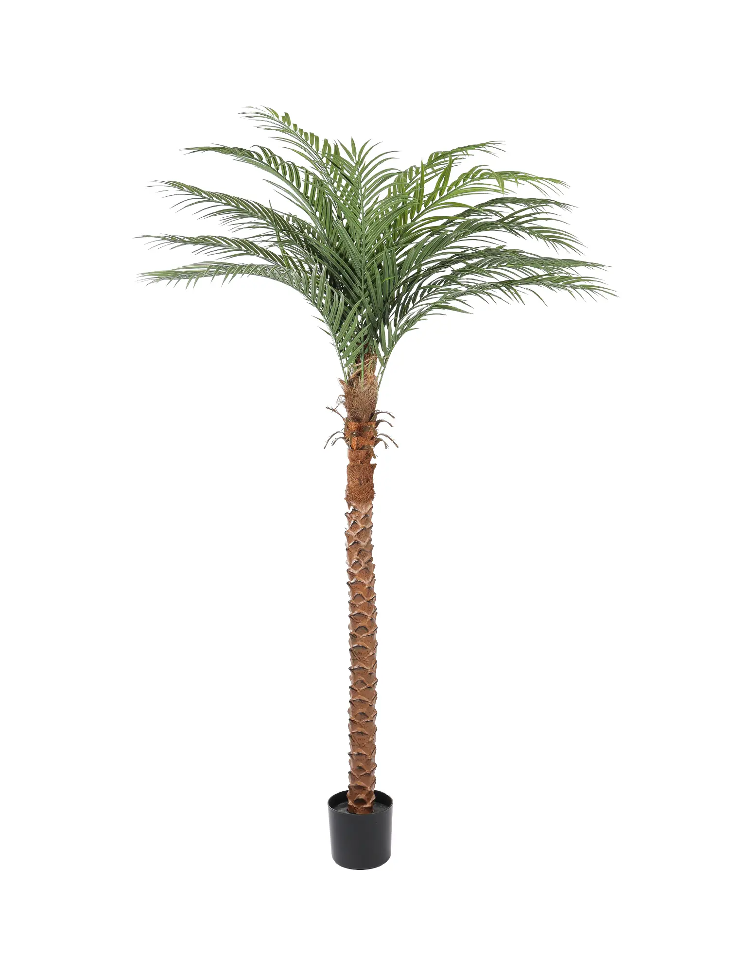 Kunstpalm Cuba 190cm met realistische stam en 15 levensechte palmbladeren.