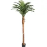 Levensechte Kunstpalm Cuba 220cm met dikke stam en volle palmkruin